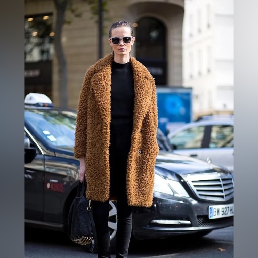 Sandro teddy bear 🐻 coat